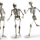 내강한의원 이미지