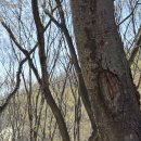 북한산로 이미지