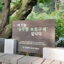 수원지식당