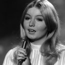 PUPPY HILL'S 이미지