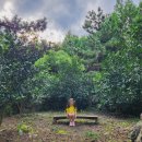 새싹2호농장 | 제주 아이와 농장 동물체험 유진팡 바나나따기