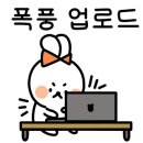 커피앤티스