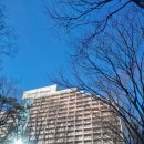 소노문 단양 1층 | 소노문 단양 스위트 스탠다드 침대/취사 1박 후기