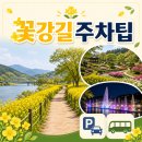 나드리노인복지관 | 화순 봄꽃축제 기본정보와 방문 팁