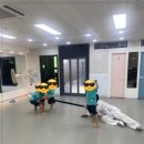 용인대 매화태권도 이미지