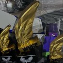 바이킹짐 이미지