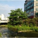 스위첸(아) 이미지