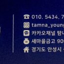 탐나영 이미지