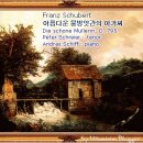 황실음악홀 | 눈오는 날의 <아름다운 물방앗간의 아가씨>