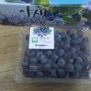 용신농장 이미지