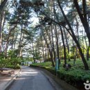 사직레포츠 이미지