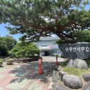 풀밭에 누운 돼지