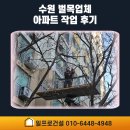 건축사사무소나무 | 수원 벌목업체 아파트 작업 후기