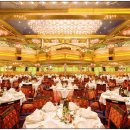 펫크루즈 이미지