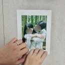 명동 에비뉴엘 쇼파드 아이스큐브 / 롯데본점 아이스큐브 웨딩밴드 구매후기