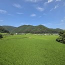 두서면보건지소 이미지