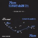 주식회사 로컬앤컴퍼니 | 2026 순천 트레일러닝 대회 추천｜선암사 송광사 천년길 GPX 후기형 분석