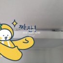 우성전파사