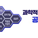 올바른수학·전과목