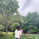 구갈레스피아(어린이놀이터) 이미지