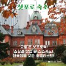 로바 아케이드 | 삿포로숙소 위치 ㅣ삿포로역 vs 스스키노 ㅣ대욕장 가성비 호텔 Best5