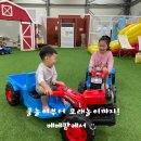 주식회사베베키즈팜 | [인천 서구 키즈카페 베베팜] 실내·실외 물놀이까지! 하루 종일 웃음 폭발 후기