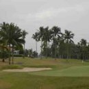 더 리베라 이미지