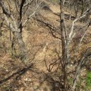 봉학2리마을회관 이미지