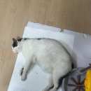 희아트 | 인천서해구사진출력 내 취향을 담아 직접 고르는 맞춤 액자, 희아트 체험 후기 공유해요