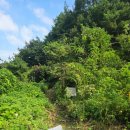 악어섬 | 아이들과 함께한 충주호 악어섬 백패킹 후기+정보 (30분 박지)