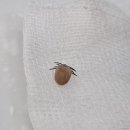 비슬동물병원 이미지