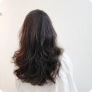 세종미용실 이미지