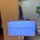 베베아르 | 광주 성장앨범 스튜디오 베베아르 계약 & 100일 촬영 후기 (feat. 내돈내산)