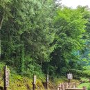 조산공원길 이미지