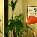 강남스토리골프존 티스토리