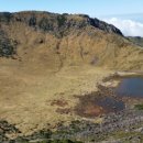 티에스엘 이미지