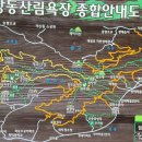 대전시티투어(계족산황톳길-한밭수목원)기차도보 이미지