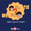 빠른년생의 정확한 띠 이미지