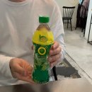[포비phobee] 대구 쌀국수, 파인애플볶음밥 맛집