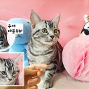 포항장성고등학교 이미지