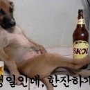 먹빵브레드