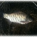 대요낚시터 이미지