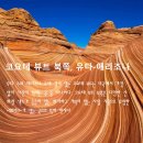 코요테 뷰츠(Coyote Buttes) 이미지