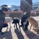 한국인농장 이미지