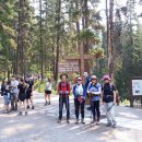 ※ Ink Pots via Johnston Canyon 기행문 – 240720 이미지