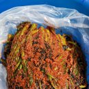 조선갓김치 이미지