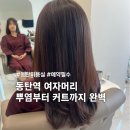 동탄역 뿌리염색 후기, 커트까지 대만족한 살롱오하이(민진 디자이너)