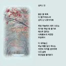 🍁 11월22일(금) 🍁 강방 출석글 🍁 이미지