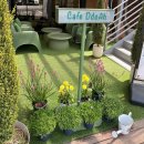 국화애견하우스 이미지