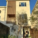 스테이 까미노 이미지